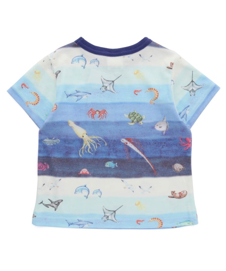 海の深さボーダー柄＆海の動物パッチワーク柄Tシャツ - BIT'Z（ビッツ
