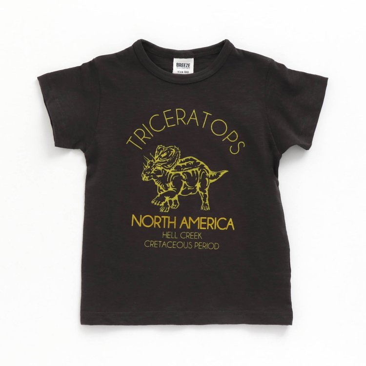 3色3柄恐竜tシャツ Breeze ブリーズ Breeze ブリーズ 公式通販