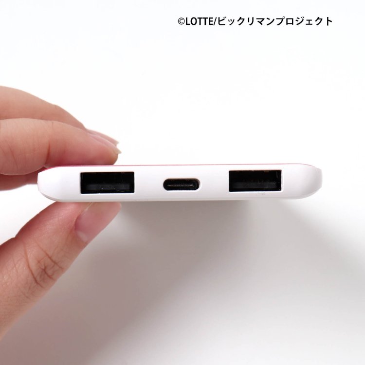 ビックリマンUSB Type-C リチウムイオン充電器 - BREEZE（ブリーズ）｜BREEZE（ブリーズ）公式通販