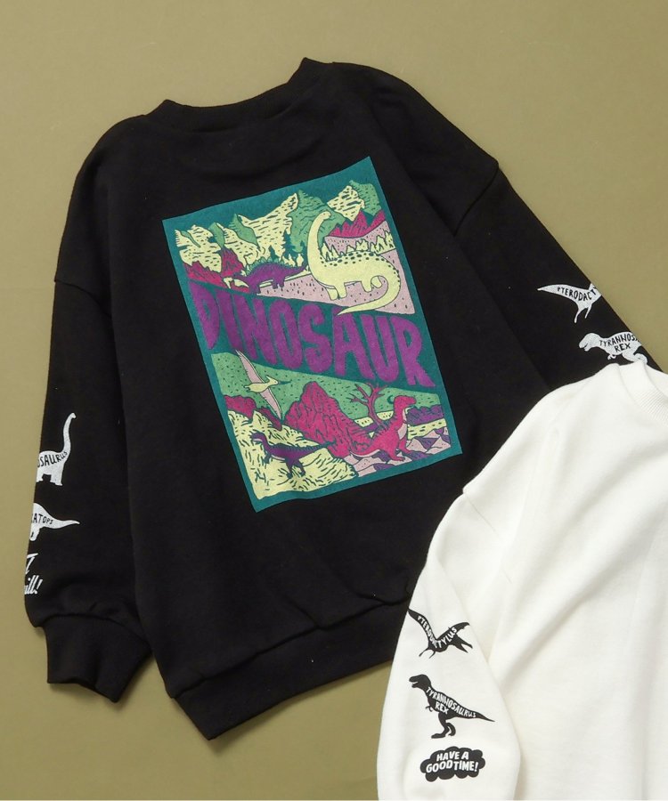 バックプリントダイナソートレーナー - BREEZE（ブリーズ）｜BREEZE  