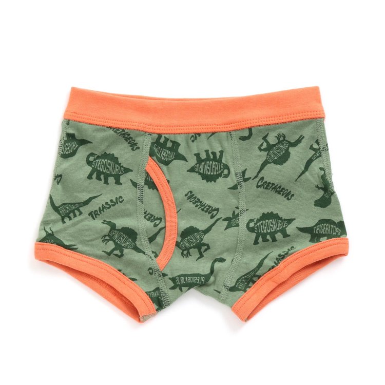 3p対象 Boy恐竜総柄ボクサーパンツ Ampersand アンパサンド 全ショップ共通公式通販