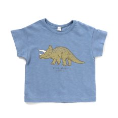 恐竜柄アイテム 子ども服のf O Online Store エフオーオンラインストア