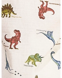 きょうりゅう柄