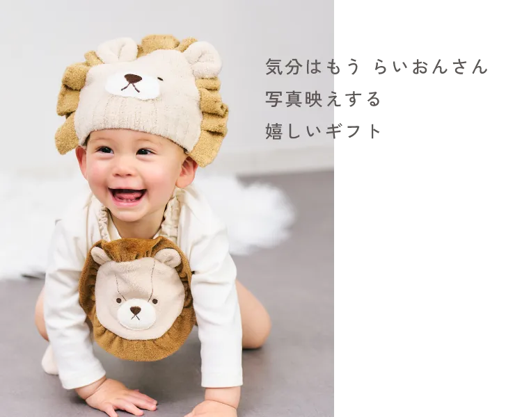 らいおんさんギフトセット