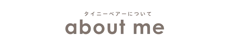 タイニーベアーについて
