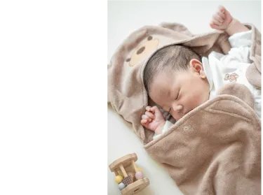 アンバサダー　くまさん