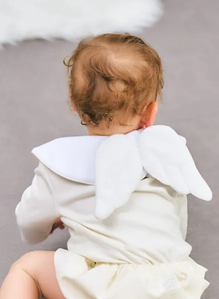 天使の羽セット