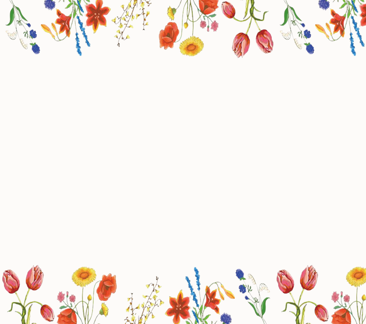 Boribon 2SPRING 2026 DEBUT