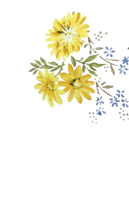 Boribon ボリボンの子供服