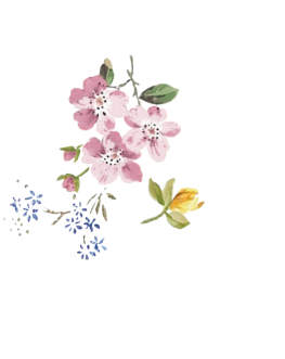 Boribon ボリボンの子供服