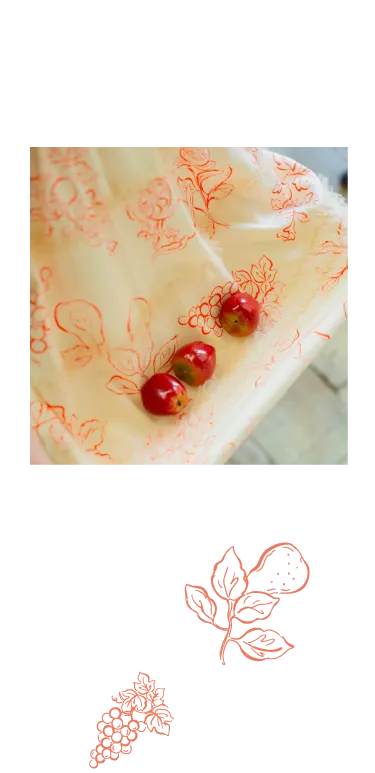 Boribon ボリボンの子供服