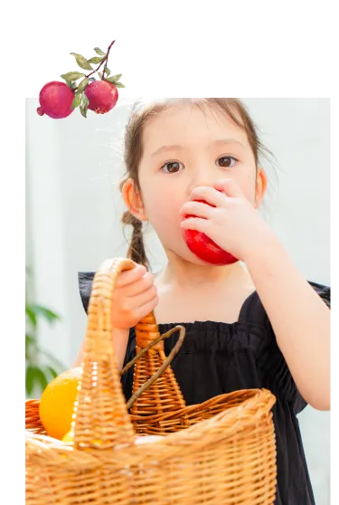 Boribon ボリボンの子供服