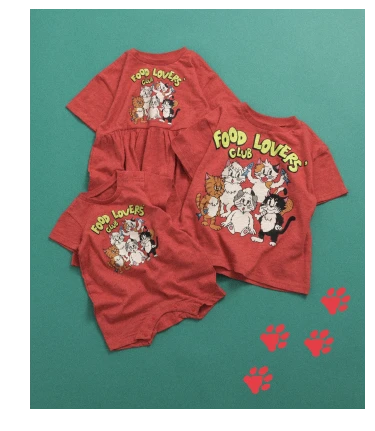 BREEZEに自由気ままな猫たちが新登場