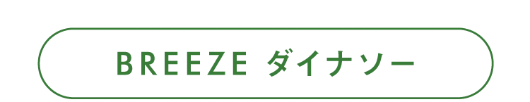  BREEZEのダイナソーアイテム