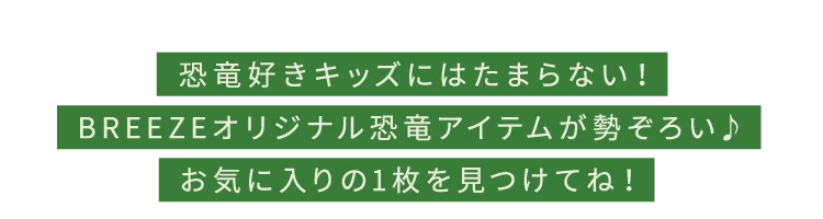 BREEZEのダイナソーアイテム
