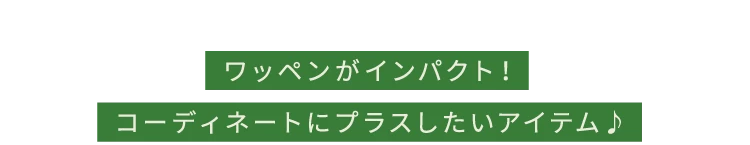 恐竜ワッペンキャップ