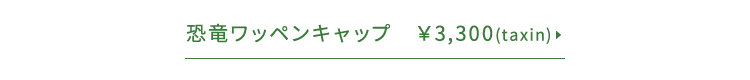 恐竜ワッペンキャップ 3,300(税込)