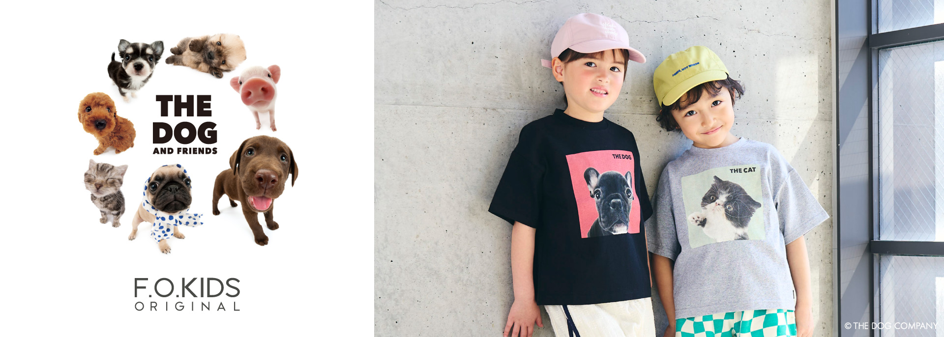 FOKIDS THEDOG