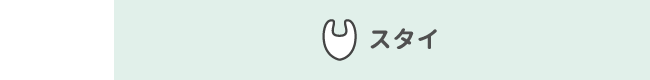 スタイ