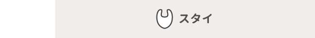 スタイ