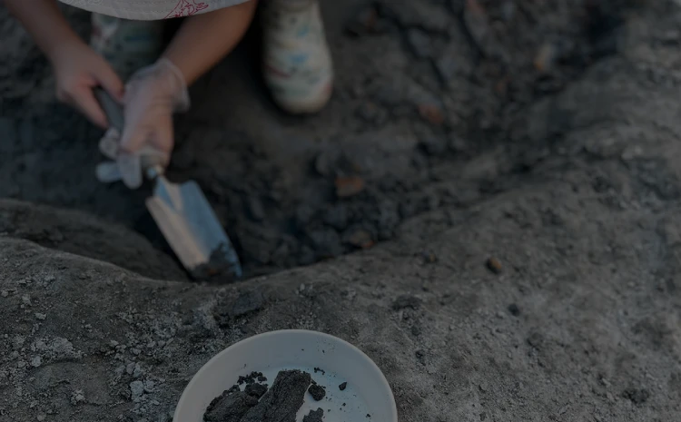 久慈琥珀博物館