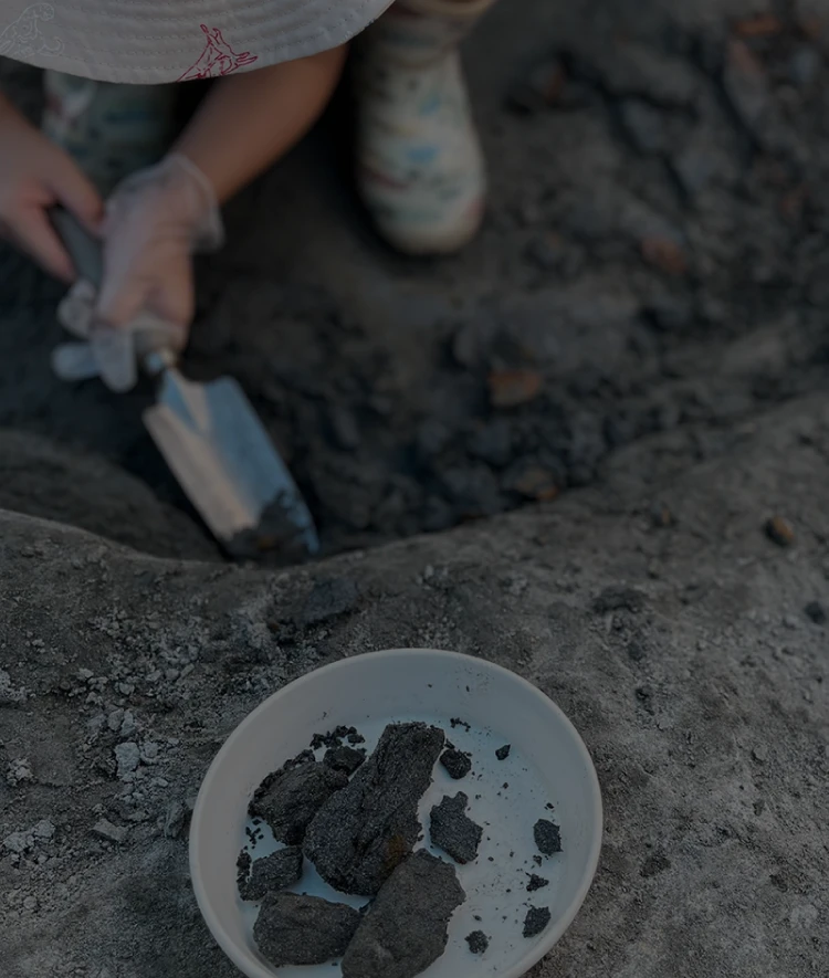 久慈琥珀博物館
