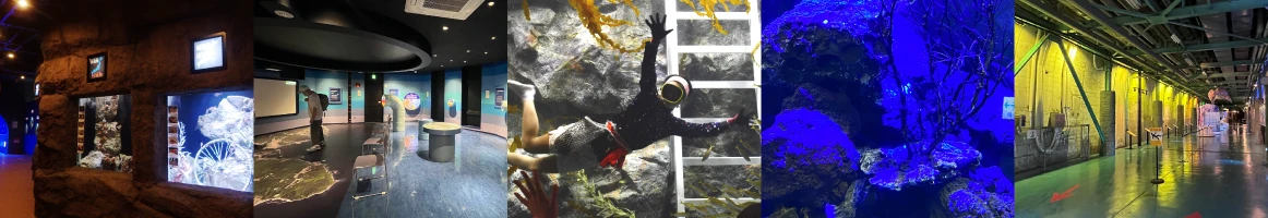 久慈地下水族科学館もぐらんぴあ