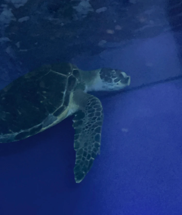 久慈地下水族科学館もぐらんぴあ