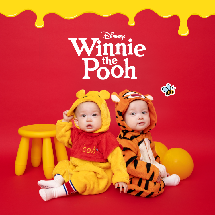 Disney Winnie the Pooh