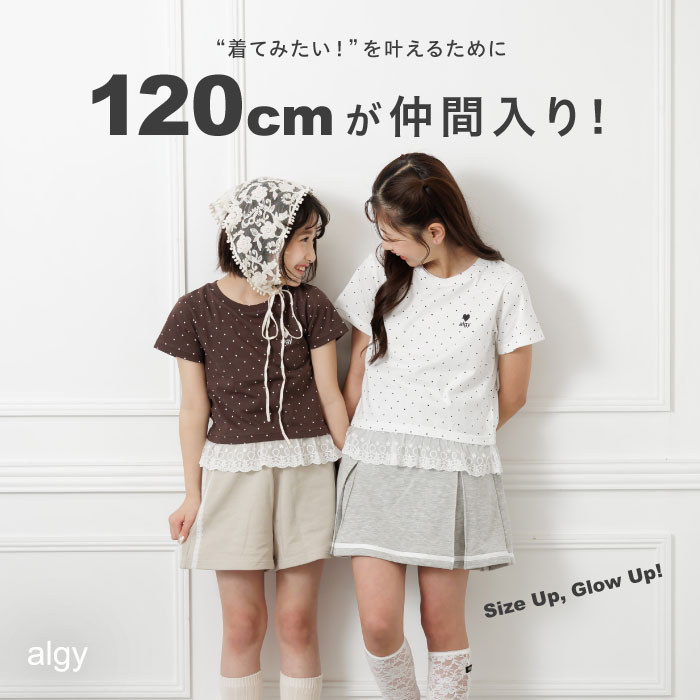 algy新サイズ120