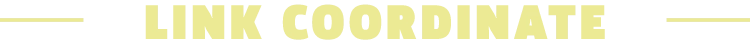 LINK coordinate